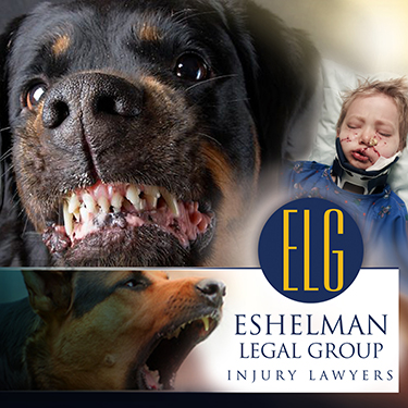 Dog Bite Domestic Animal Attack Personal Injury Lawyer, Attorney Eshelman Legal Group